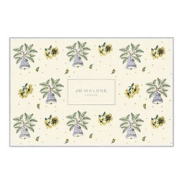 English Pear & Freesia Collection