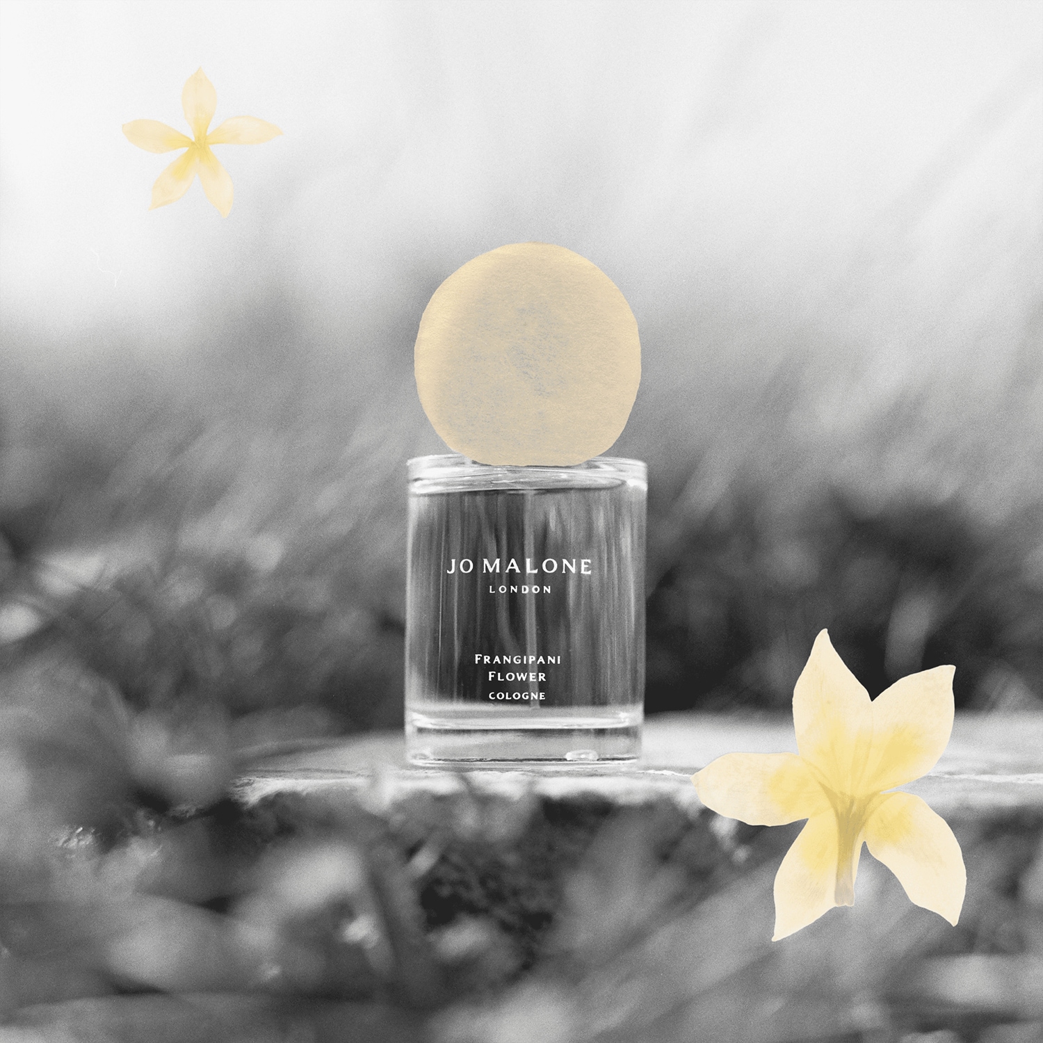 Frangipani Flower - Cologne | JO MALONE LONDON ≡ SEPHORA