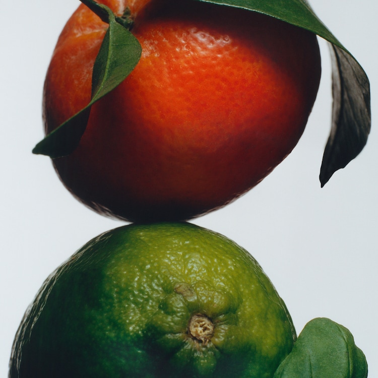 Lime Basil & Mandarine - Cologne