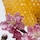 Nectarine Blossom & Honey - Cologne