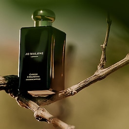 Cypress & Grapevine - Cologne Intense