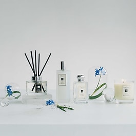 Wild Bluebell Candle - Candela