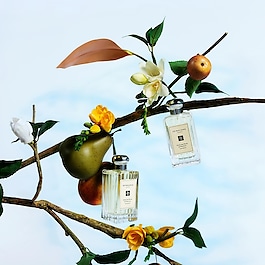 English Pear & Fressia - Cologne