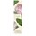 Wood Sage & Sea Salt/ Peony Blush & Suede - Seyahat Boy Cologne Seti 