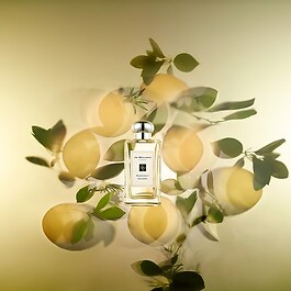 The product image is missing!