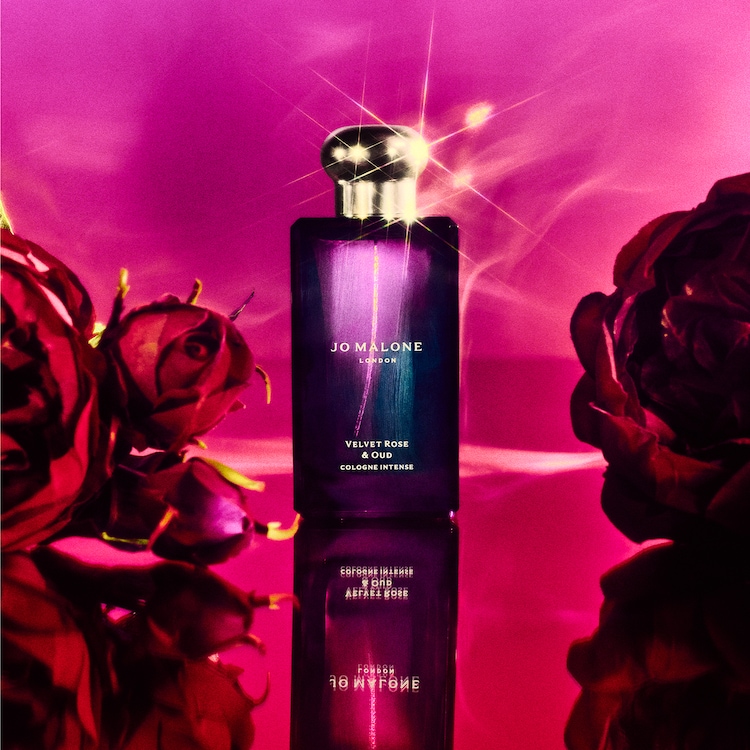 Cologne Intense - Discovery Collection