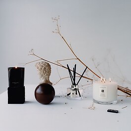 Wood Sage & Sea Salt - Diffuseur