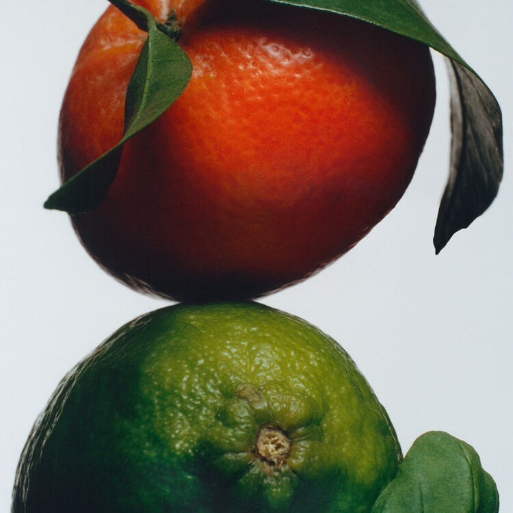 Lime Basil & Mandarin - Diffuser Refill