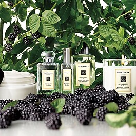 Blackberry & Bay - Cologne