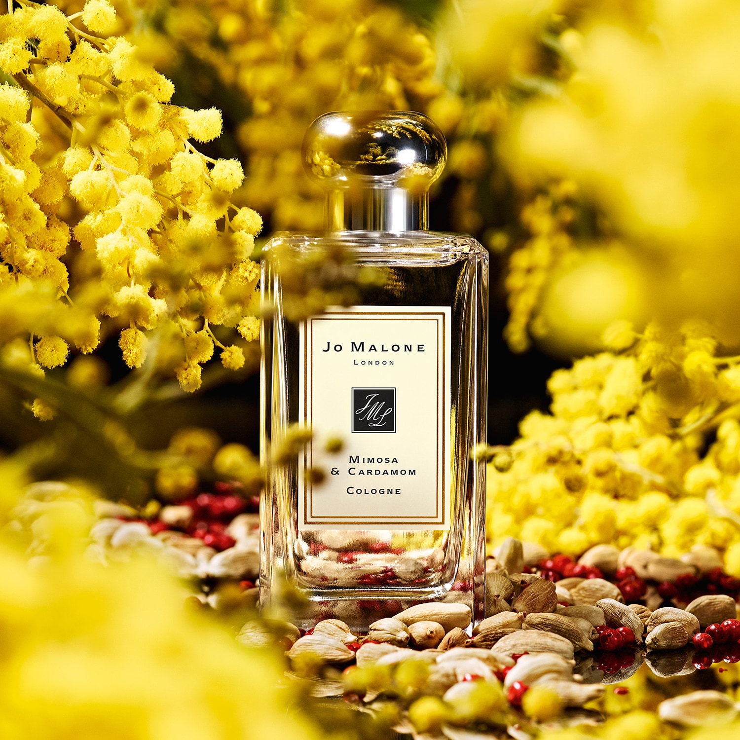 Mimosa & Cardamom - Cologne ❘ JO MALONE LONDON ≡ SEPHORA