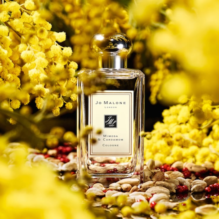 Mimosa & Cardamom - Cologne