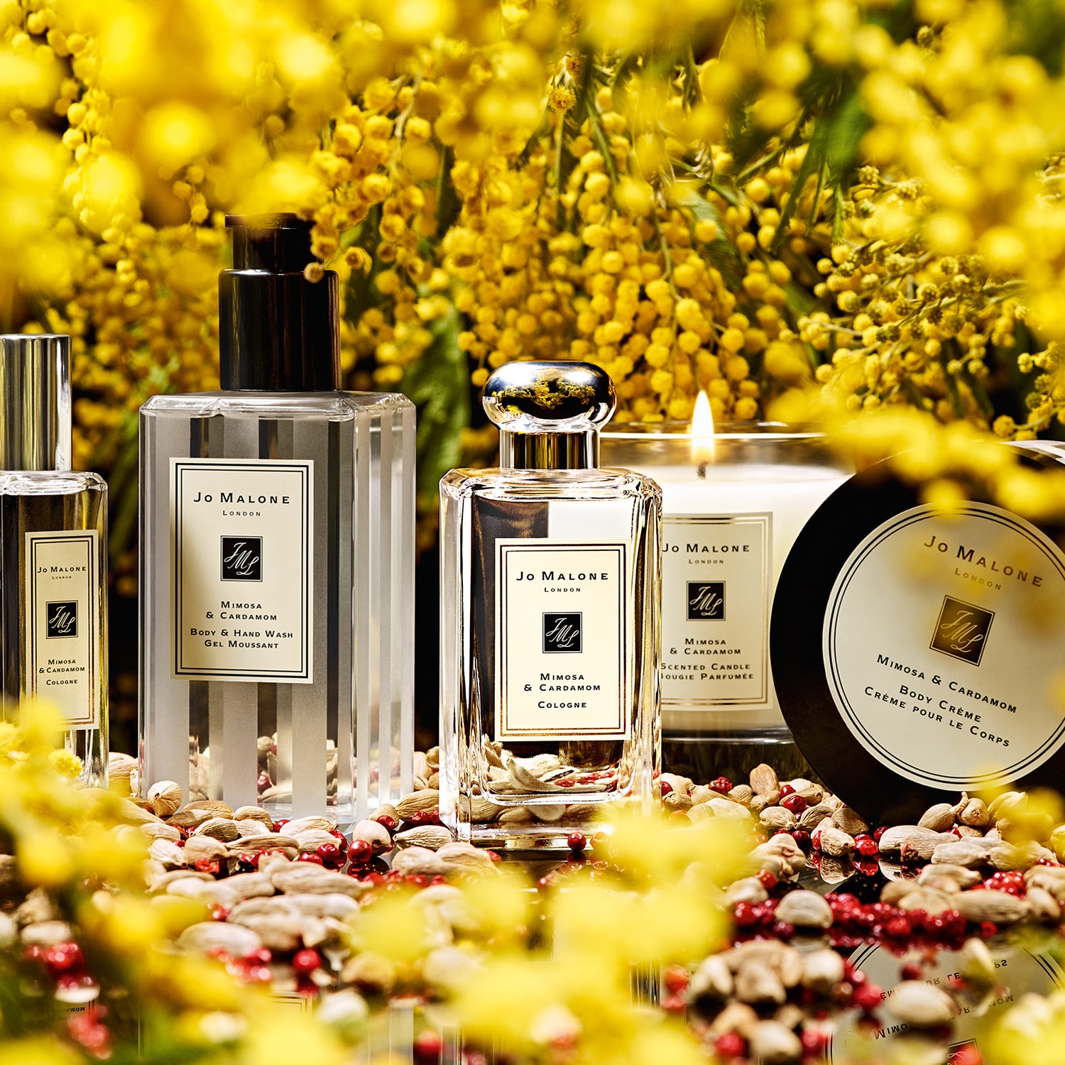 Mimosa & Cardamom - Cologne ❘ JO MALONE LONDON ≡ SEPHORA