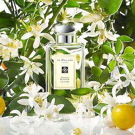 Orange Blossom - Eau de Cologne