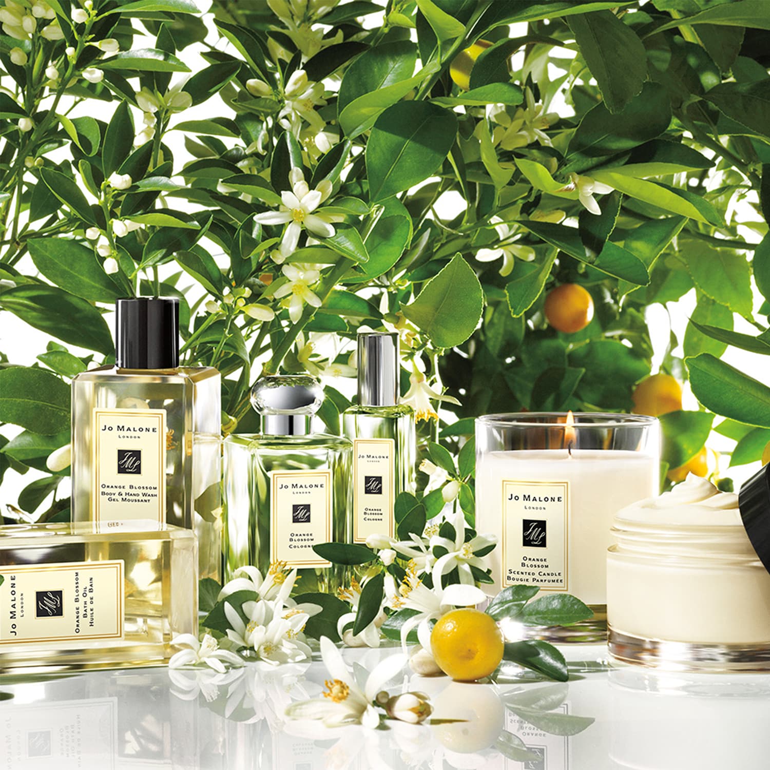 Orange Blossom - Cologne | JO MALONE LONDON ≡ SEPHORA