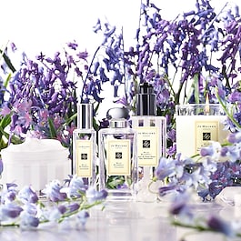 Wild Bluebell - Cologne