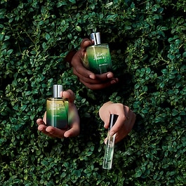 Ex Vetiver, woda perfumowana