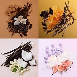 Vanilla Obsessions Miniature Set - Set med mini-parfymer