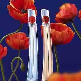 FLOWER BY KENZO L'ABSOLUE - Coffret Eau de Parfum