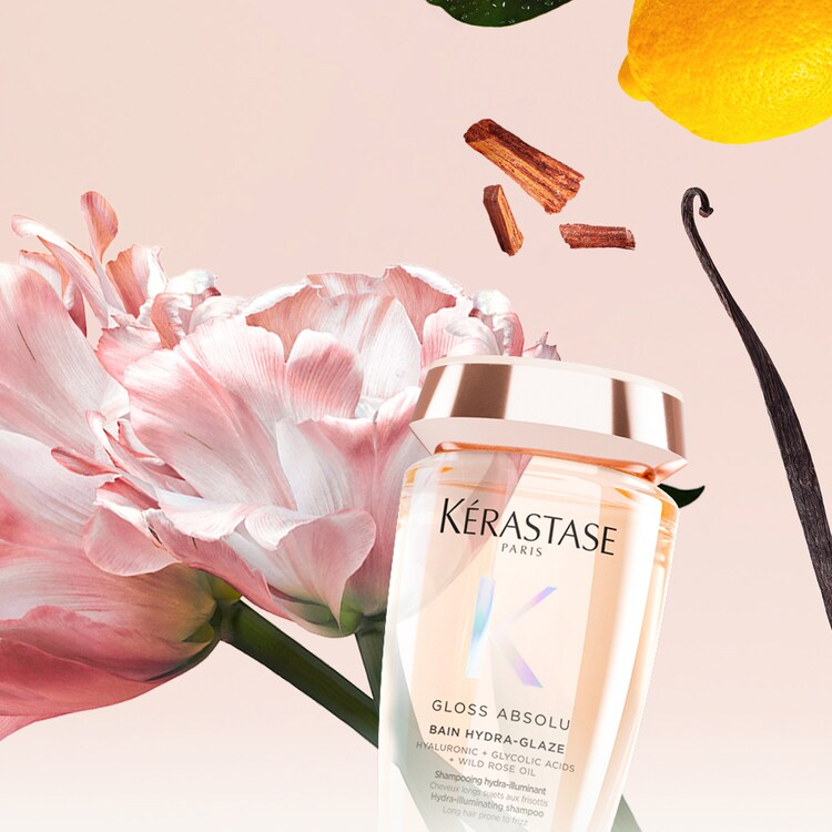 Gloss Absolu - Bain hydra-illuminant pour cheveux longs sujets aux frisottis