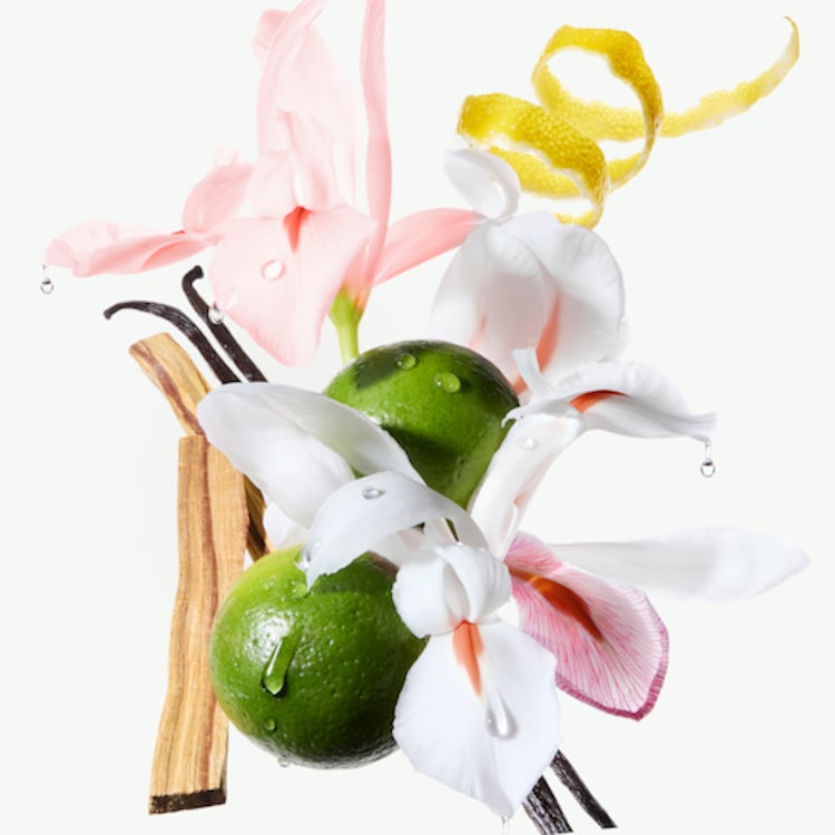 Gloss Absolu - Masque hydra-nourrissant pour cheveux épais sujets aux frisottis