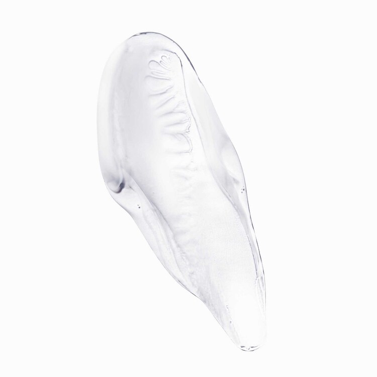 Chroma Gloss Acid - Tratamiento para cabello teñido