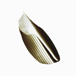 The product image is missing!