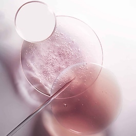 Chroma Absolu - Eco-recarga Champô Rico Nutritivo