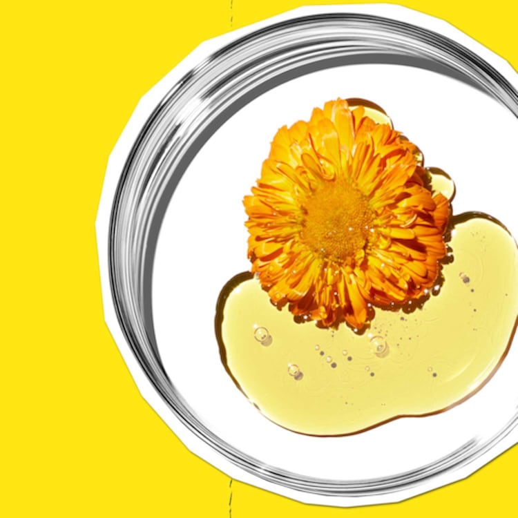 Calendula - Édition Limitée Tonique sans alcool au Calendula