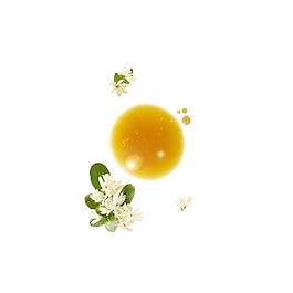 Solaire - Shampoing Douche Après-Soleil Au Monoï - Corps Et Cheveux