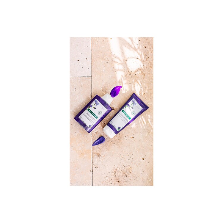 Capillaire - Shampoing Déjaunissant A La Centaurée BIO - Cheveux Gris, Blonds