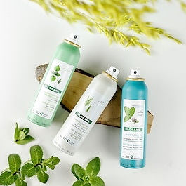 Capillaire - Shampoing Sec Séboréducteur A l’Ortie Cheveux Gras
