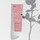 Apothecary Wild Rose - Delikatnie złuszczający krem do mycia twarzy