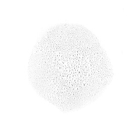 Sun Beauty - Eau de Protection Solaire SPF50