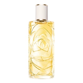 O ZENITH - Eau de Toilette