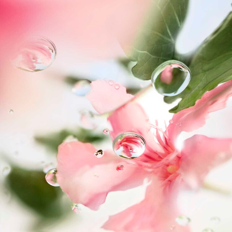 Over The Top - Eau de Toilette Notes Florales