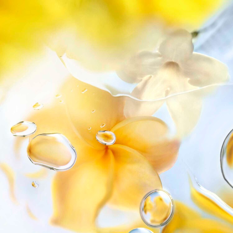 Ô Zenith - Eau de Toilette Florale fruitée 