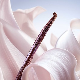 La Vie Est Belle Vanille Nude - Spray Corpo