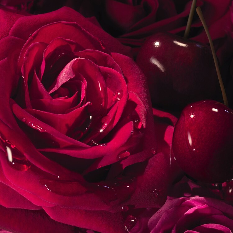 La Nuit Trésor Intense - Eau de Parfum