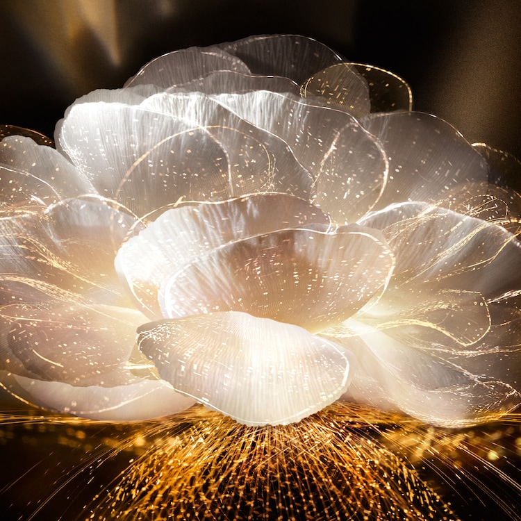 Absolue L'Extrait The Elixir Eye Treatment