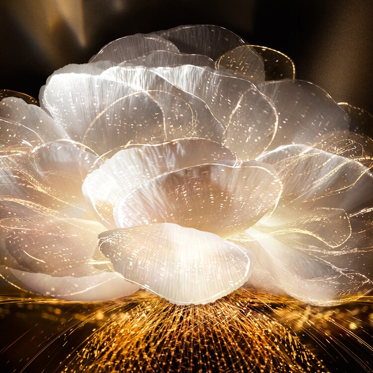 Absolue L'Extrait The Elixir Lotion