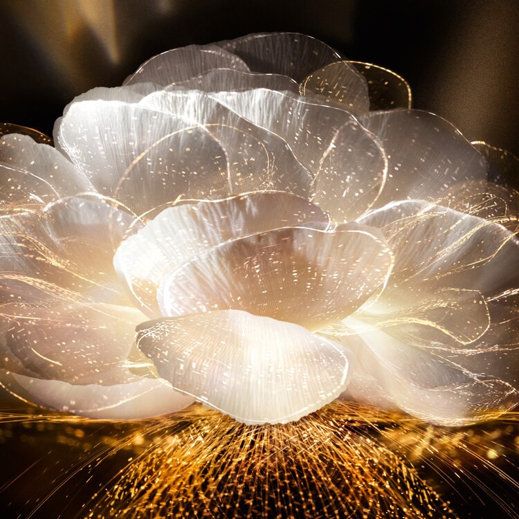 Absolue L'Extrait The Elixir - Cream