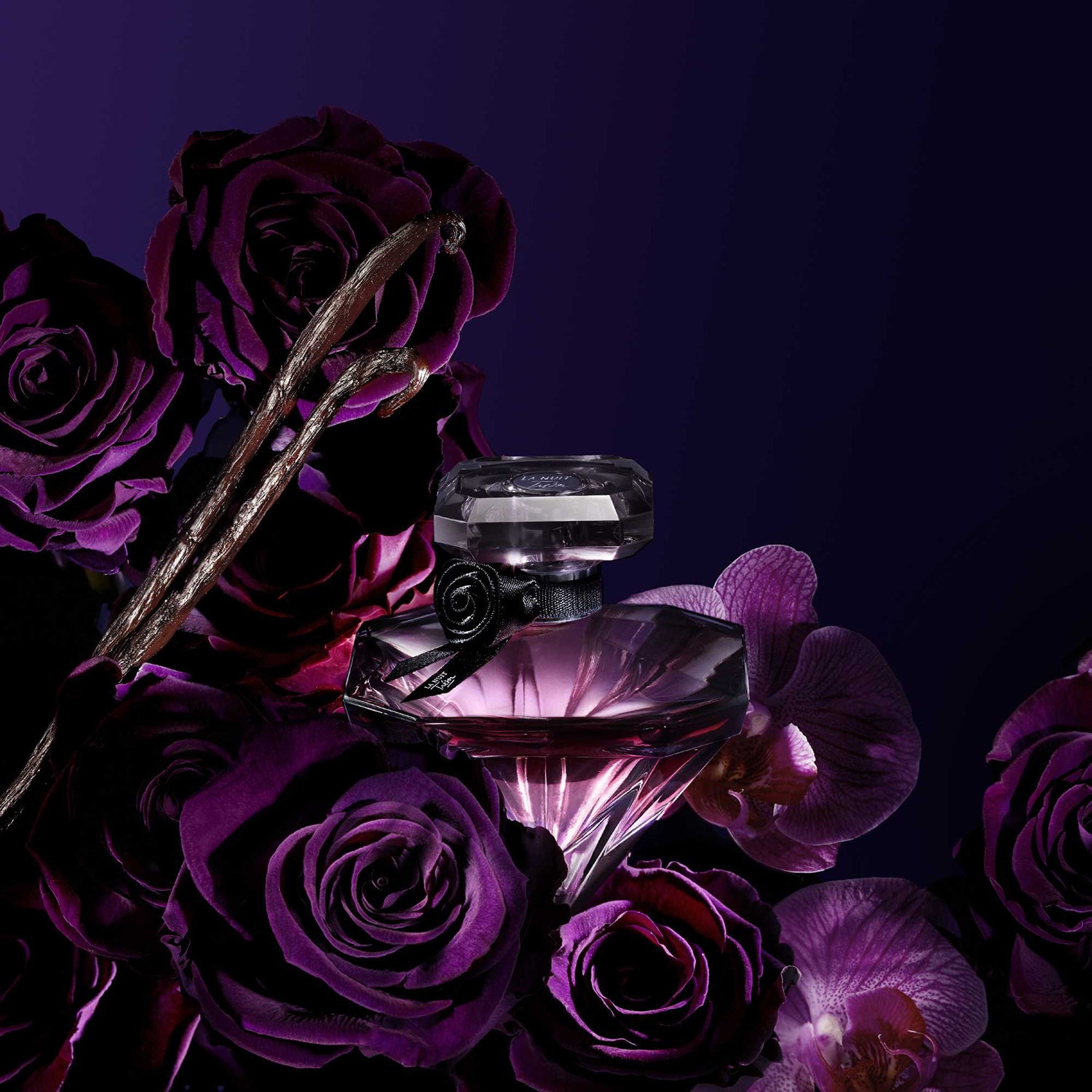 La Nuit Trésor - Eau de Parfum de LANCÔME ≡ SEPHORA