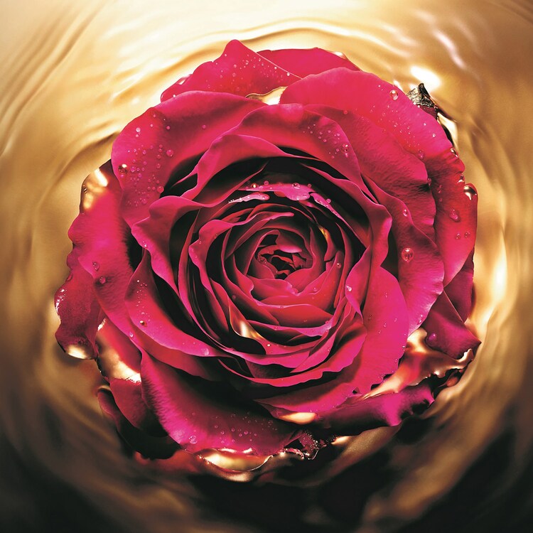 Absolue Revitalizing Eye Serum