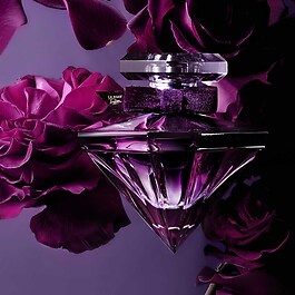 La Nuit Trésor - Le Parfum