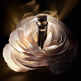 Absolue L'Extrait The Elixir Lotion