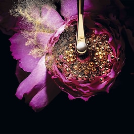 Absolue Precious Cells - Elixir Ultime Créme - recharge