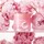 Bouncy & Firm Sleeping Mask - Maschera notte rimpolpante e rassodante
