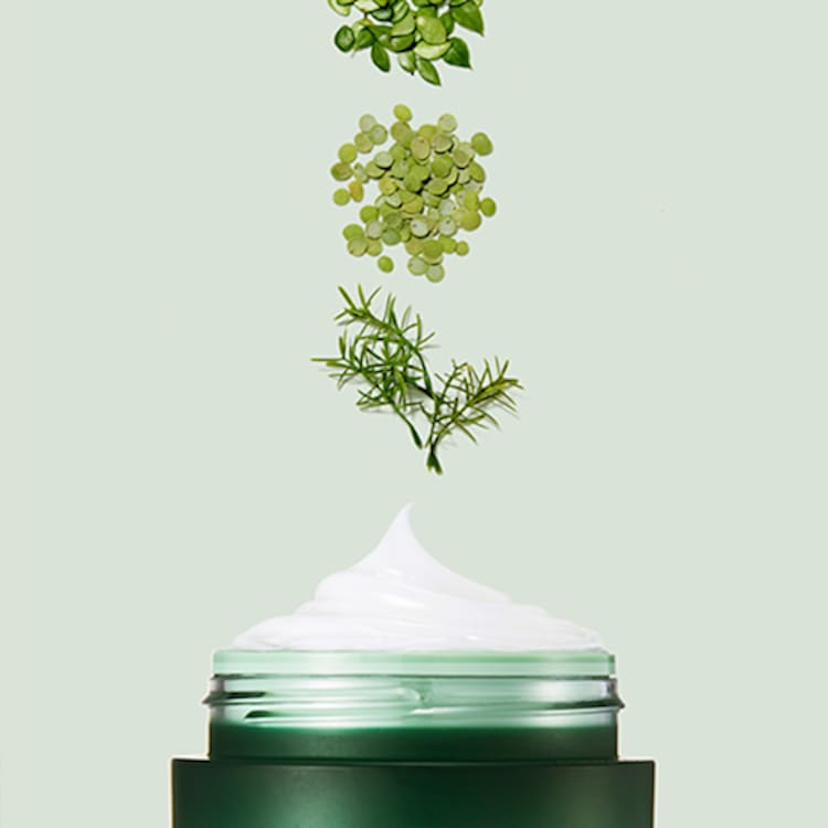 Cica Sleeping Mask - Masque de nuit