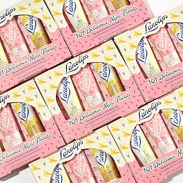 101 Delicious Mini Treats - %100 Doğal. 101 Kullanım