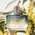 Bronze Goddess Nuit Eau De Parfum 